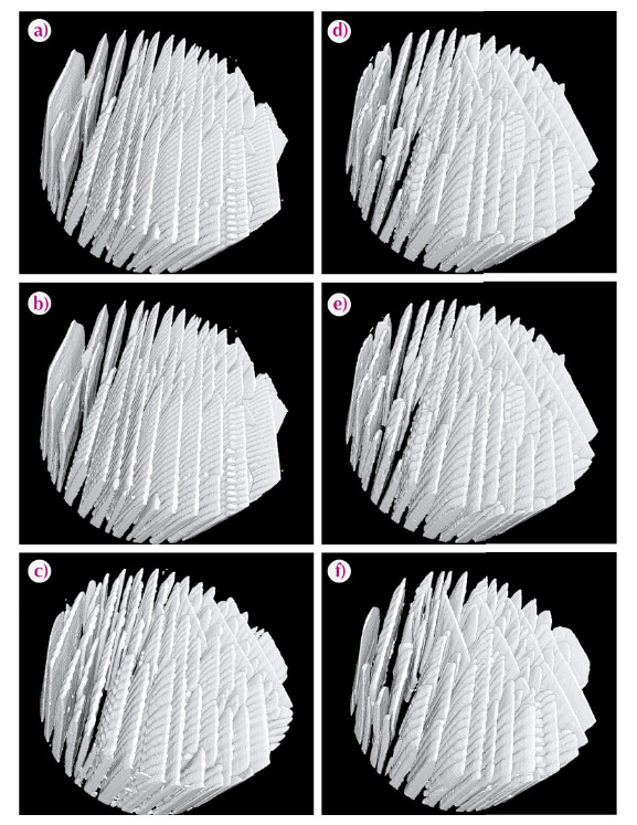 Time-lapse sequence of ice crystals morphology