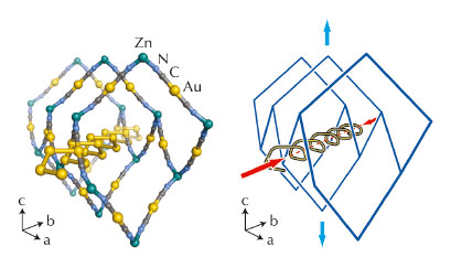 crystal structure of Zn[Au(CN)2]2