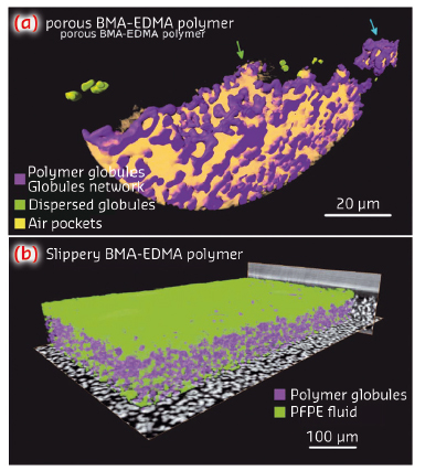 Volume rendering of the local mass density of the porous BMA-EDMA surface