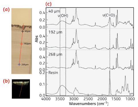 SR µFTIR study of the oxidation of an ABS model film