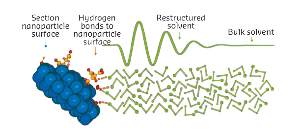 Enhanced short-range order of solvent molecules at ZnO nanoparticle surfaces