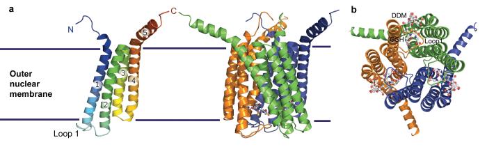 Structure of LTC4 synthase 