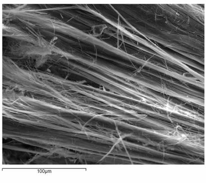 Microscope image of sepiolite fibres