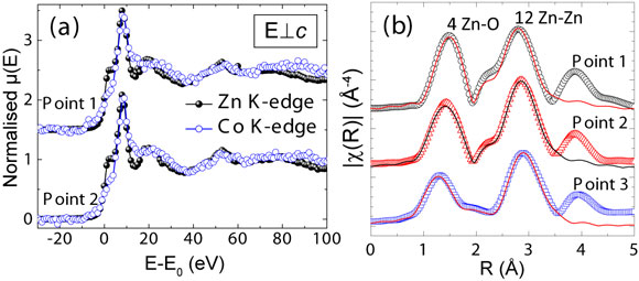 XANES spectra around the Zn K and Co K edges and EXAFS.