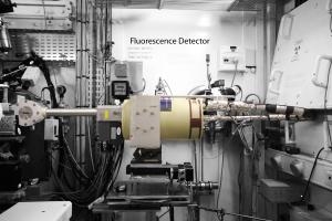 Fluorescence detector