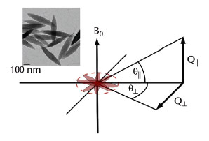 Transmission electron micrograph of spindle-shaped particles and schematic view of the scattering geometry of an ensemble of spindles aligned perpendicular to an external magnetic field
