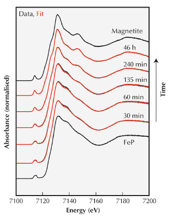 X-ray absorption spectra from various stages in the mineralisation process