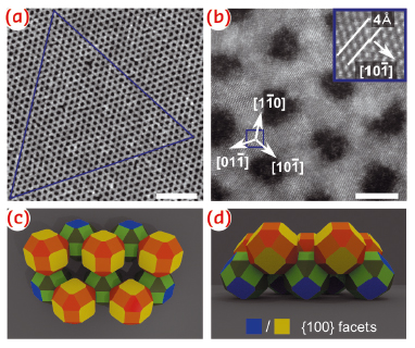 Single-crystalline PbSe honeycomb structures 