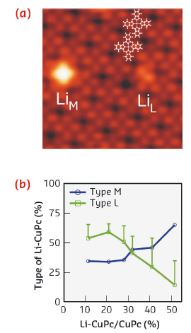 STM topography of a CuPc adlayer with two doped complexes of different types