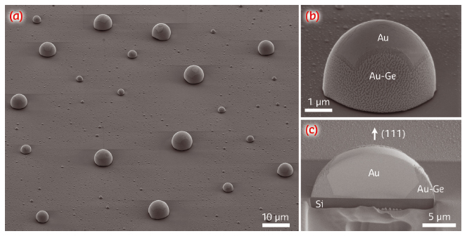 HRSEM micrographs of Au-Ge droplets after dewetting