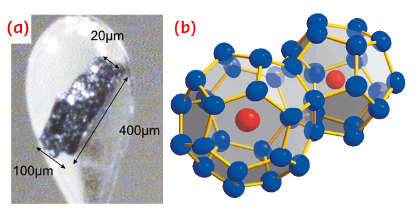 Ba8Si46 microcrystal grown at 5 GPa and 1000°C