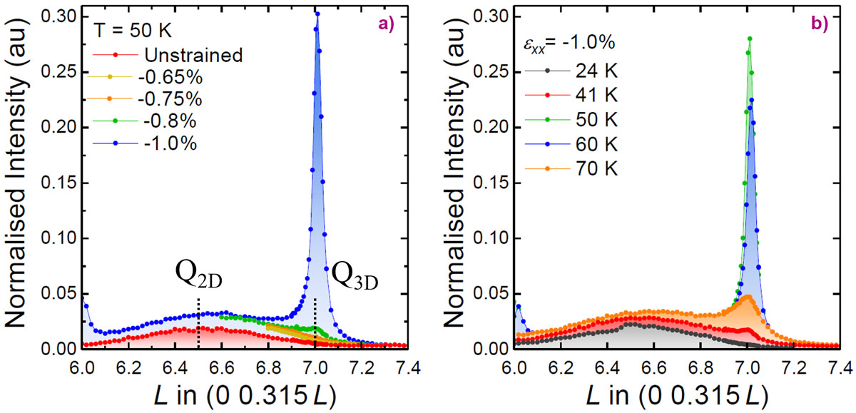 3d Long Range Charge Order In A Uniaxially Strained Cuprate