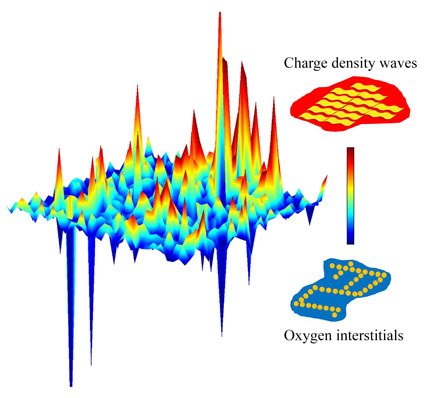 Spatial anti-correlation of charge density wave order and oxygen interstitial stripes density